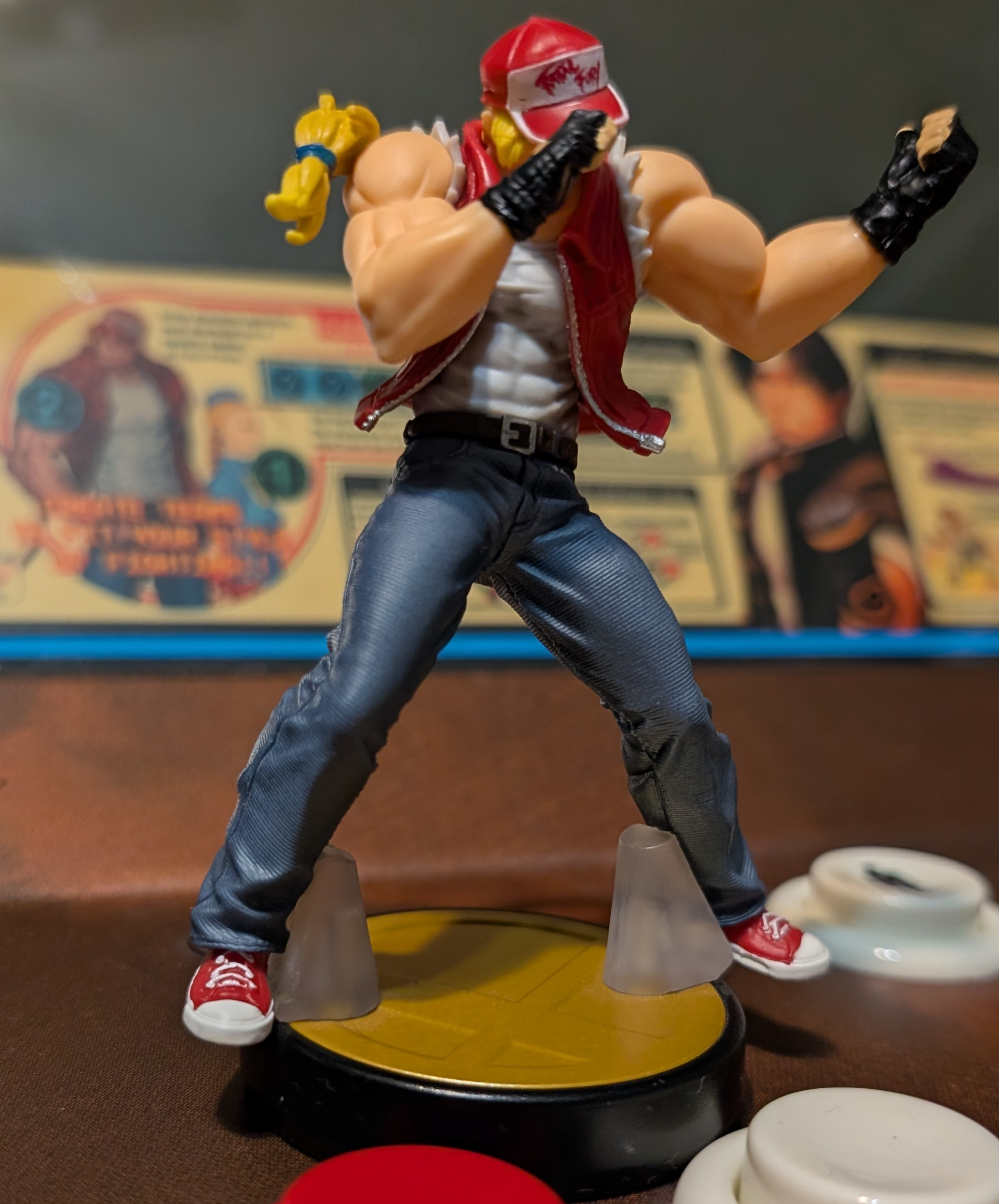 Terry Bogard Dabbing